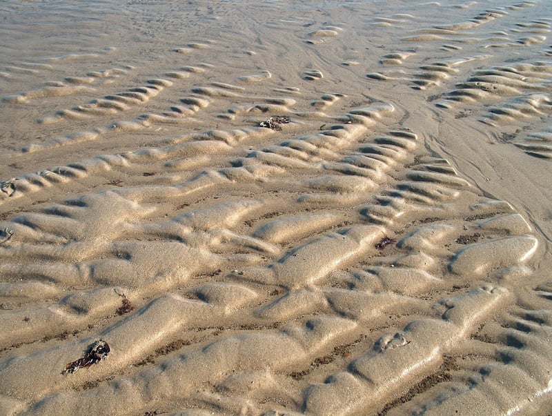 Wooden Crates Garden